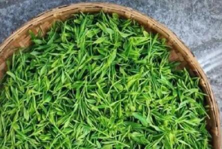 國內茶葉檢查標準2022年